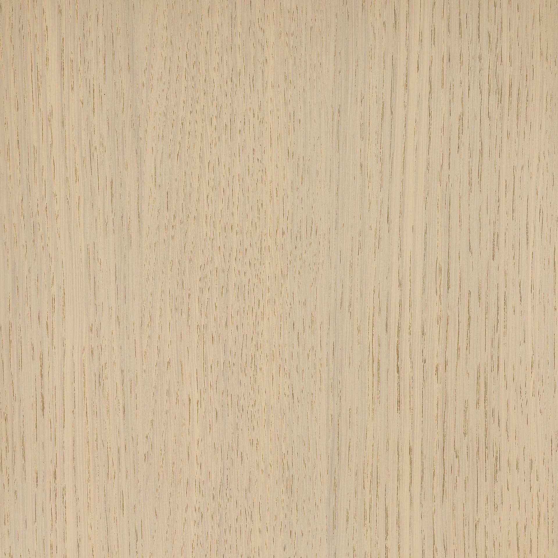 Arctic White colour swatch on wood