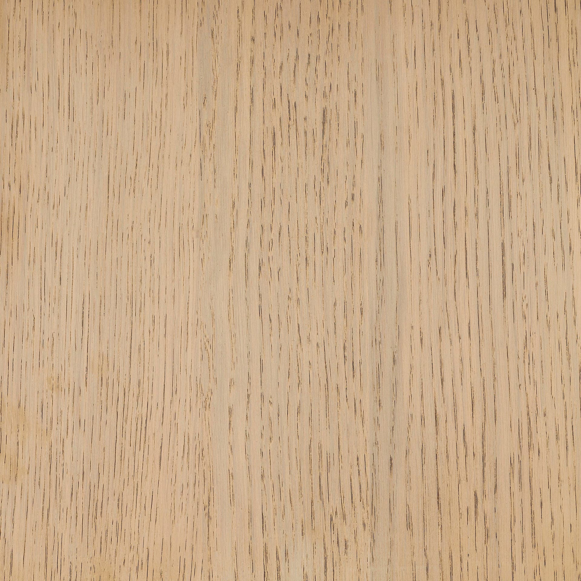 Arctic White colour swatch on wood