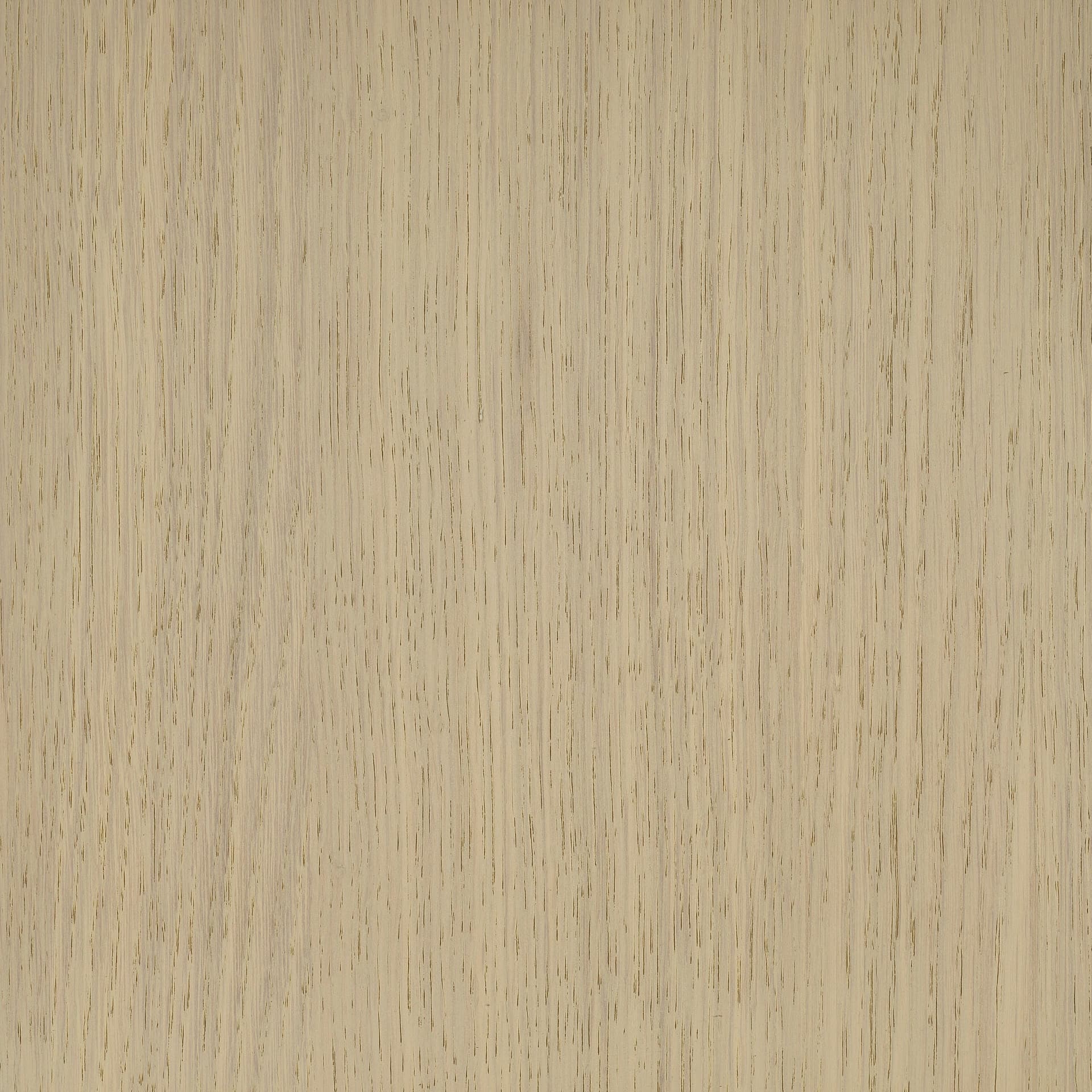 Neutral White colour swatch on wood