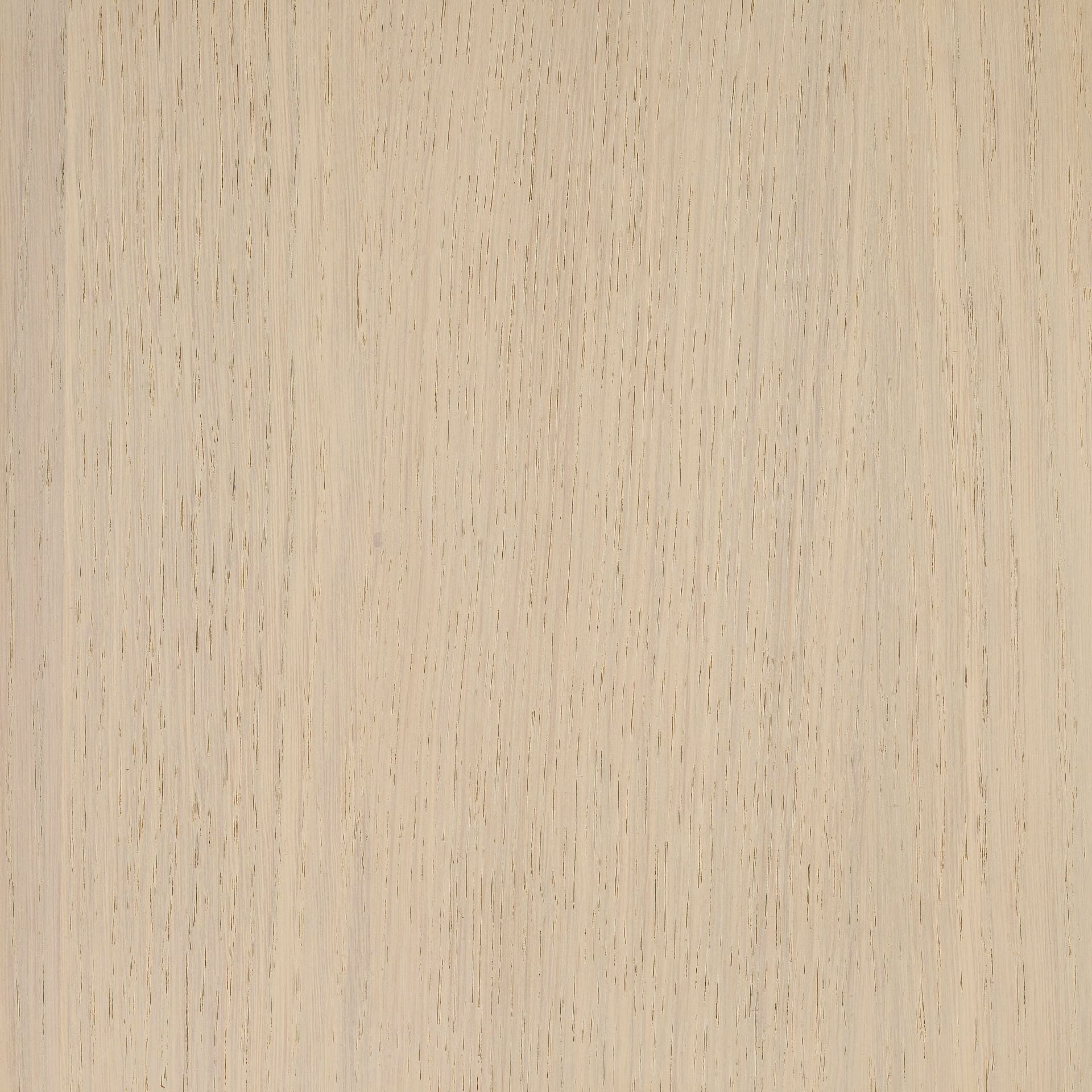 Arctic White colour swatch on wood