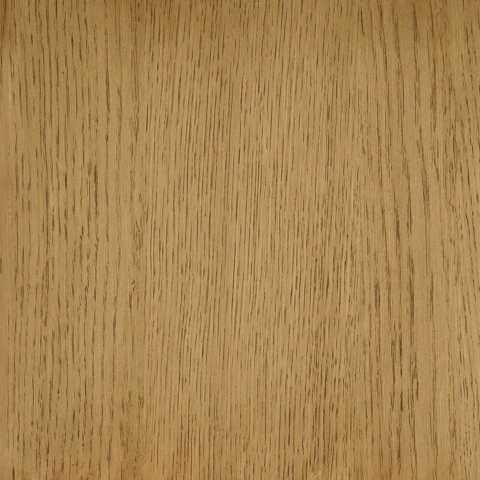 Arctic White colour swatch on wood