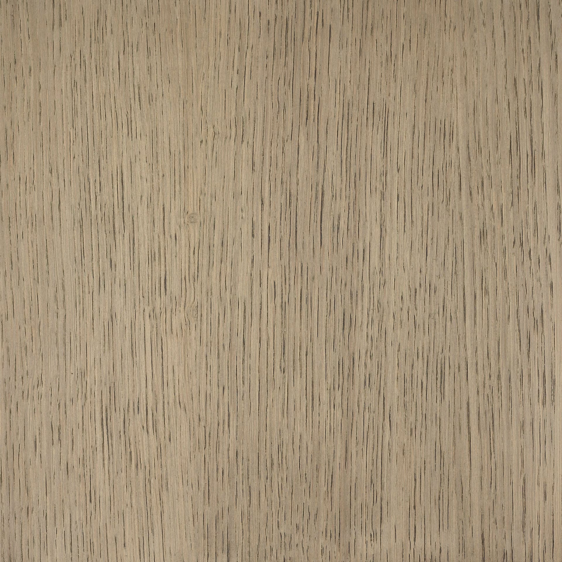 Neutral White colour swatch on wood