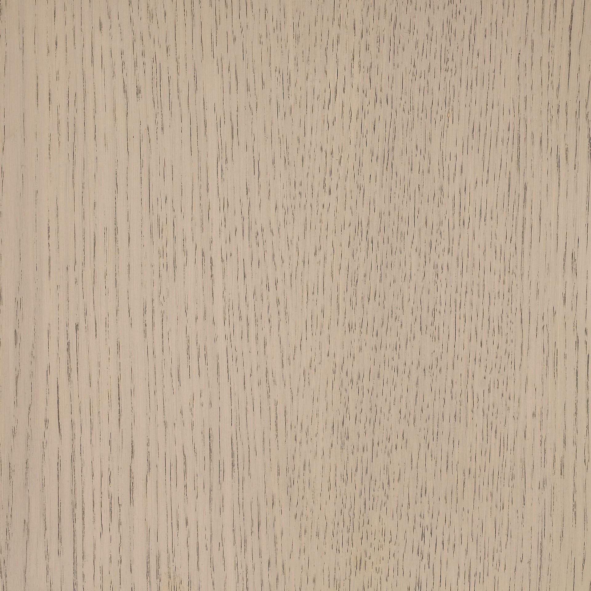 Arctic White colour swatch on wood