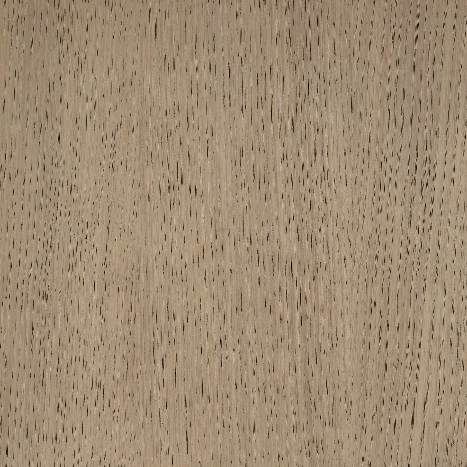 Neutral White colour swatch on wood