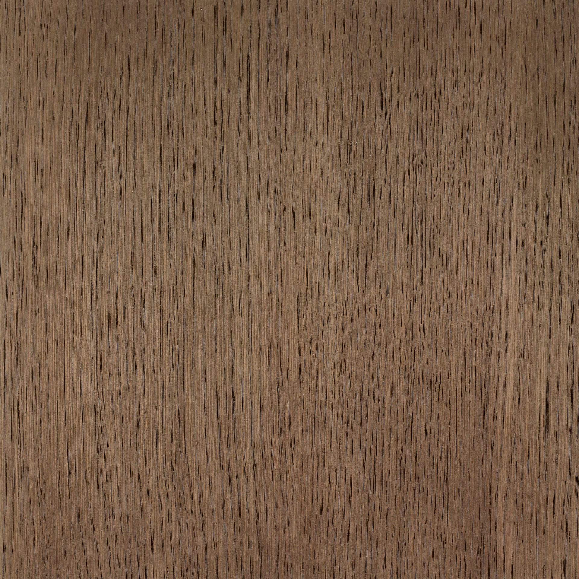 Neutral White colour swatch on wood