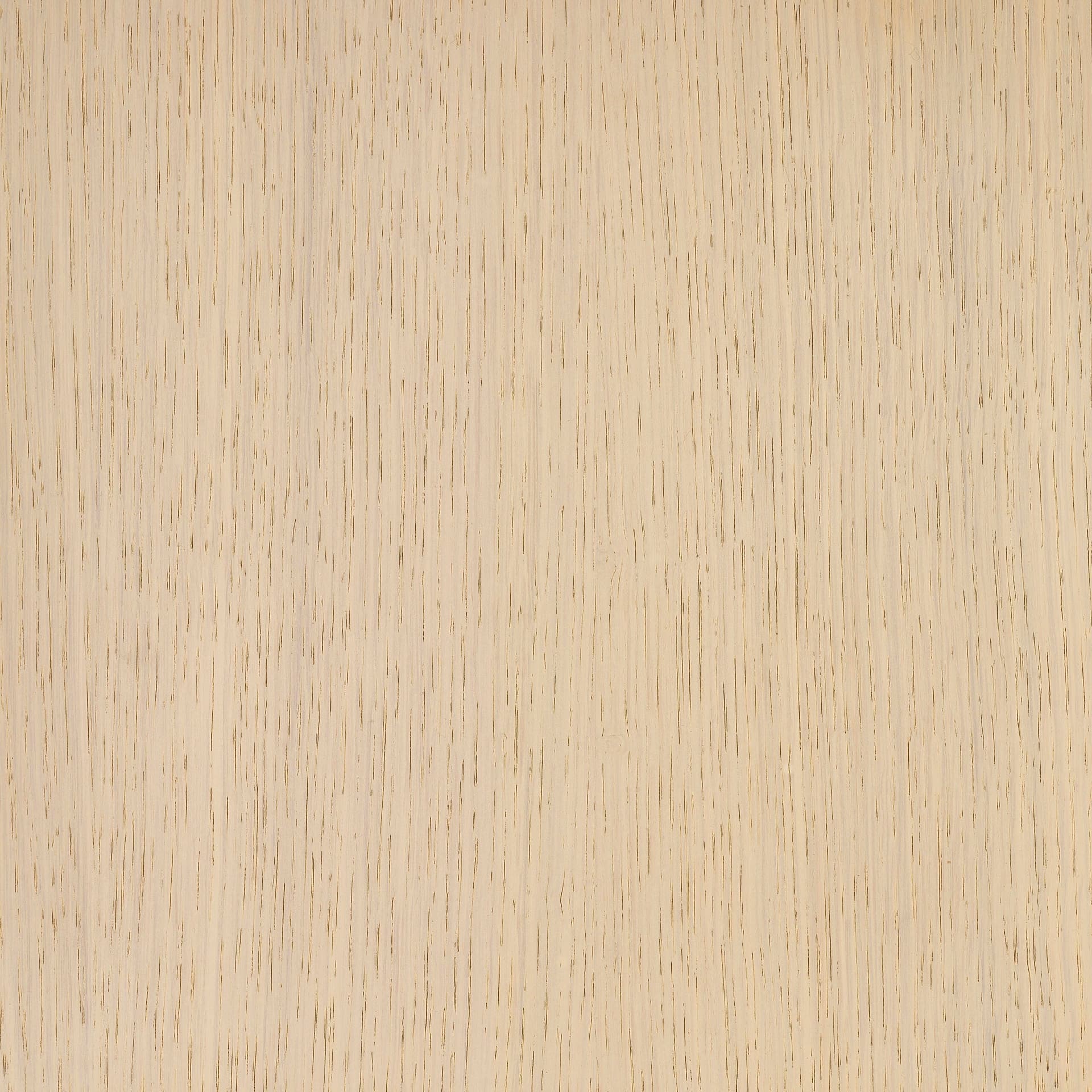 Arctic White colour swatch on wood