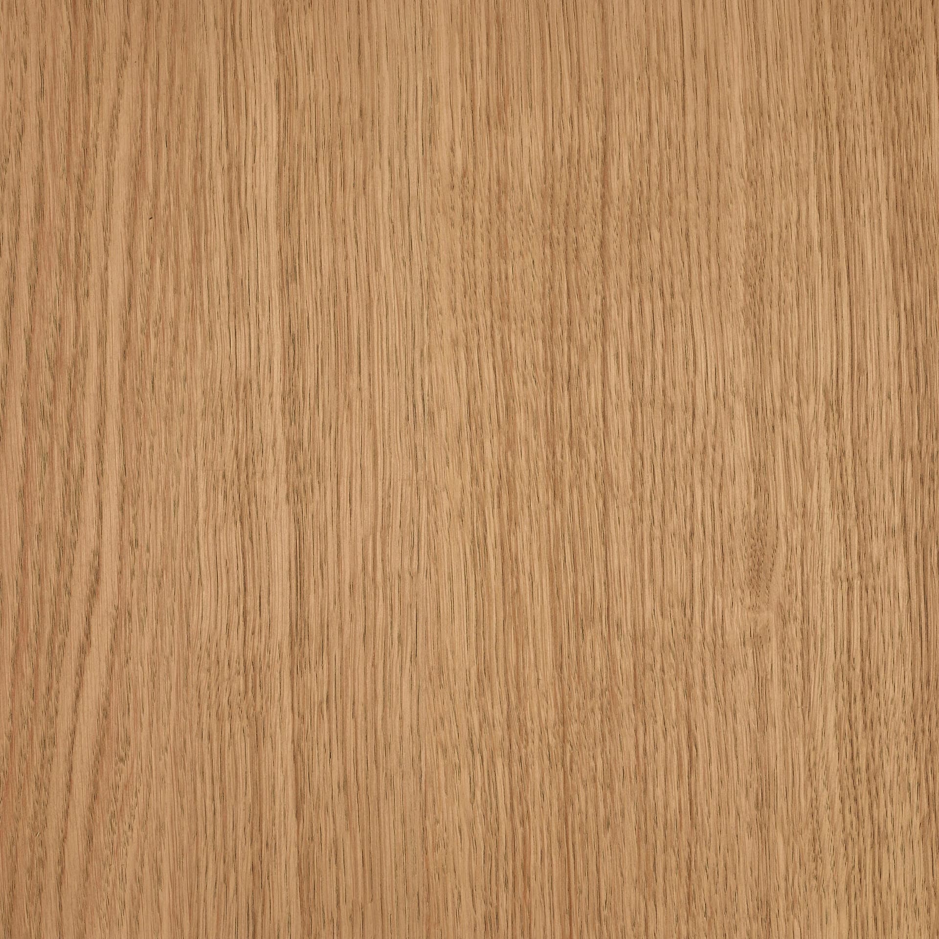 Mocha colour swatch on wood