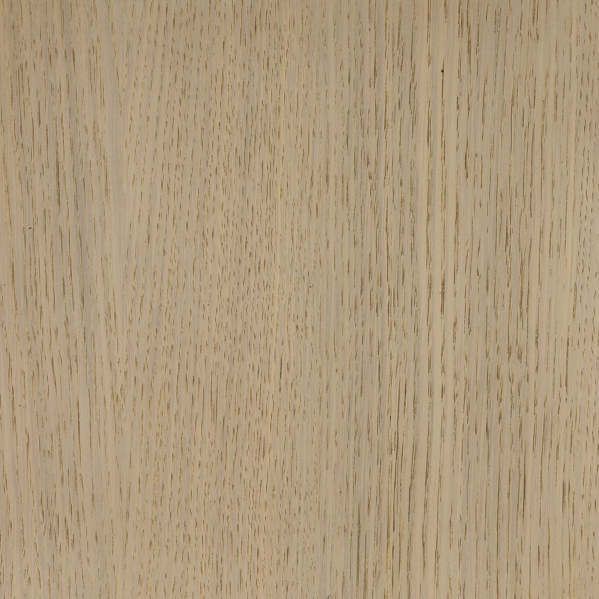 Arctic White colour swatch on wood