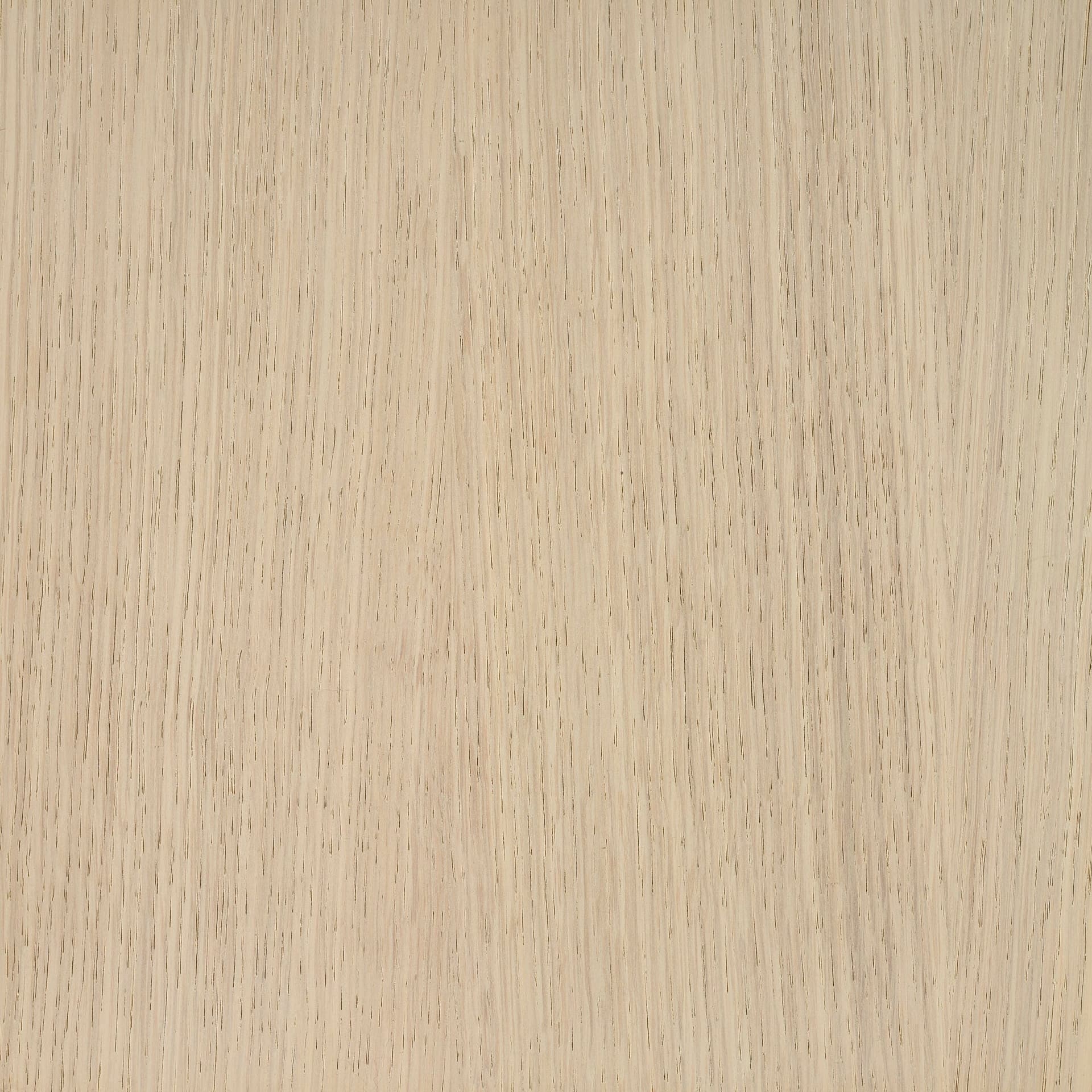 Neutral White colour swatch on wood