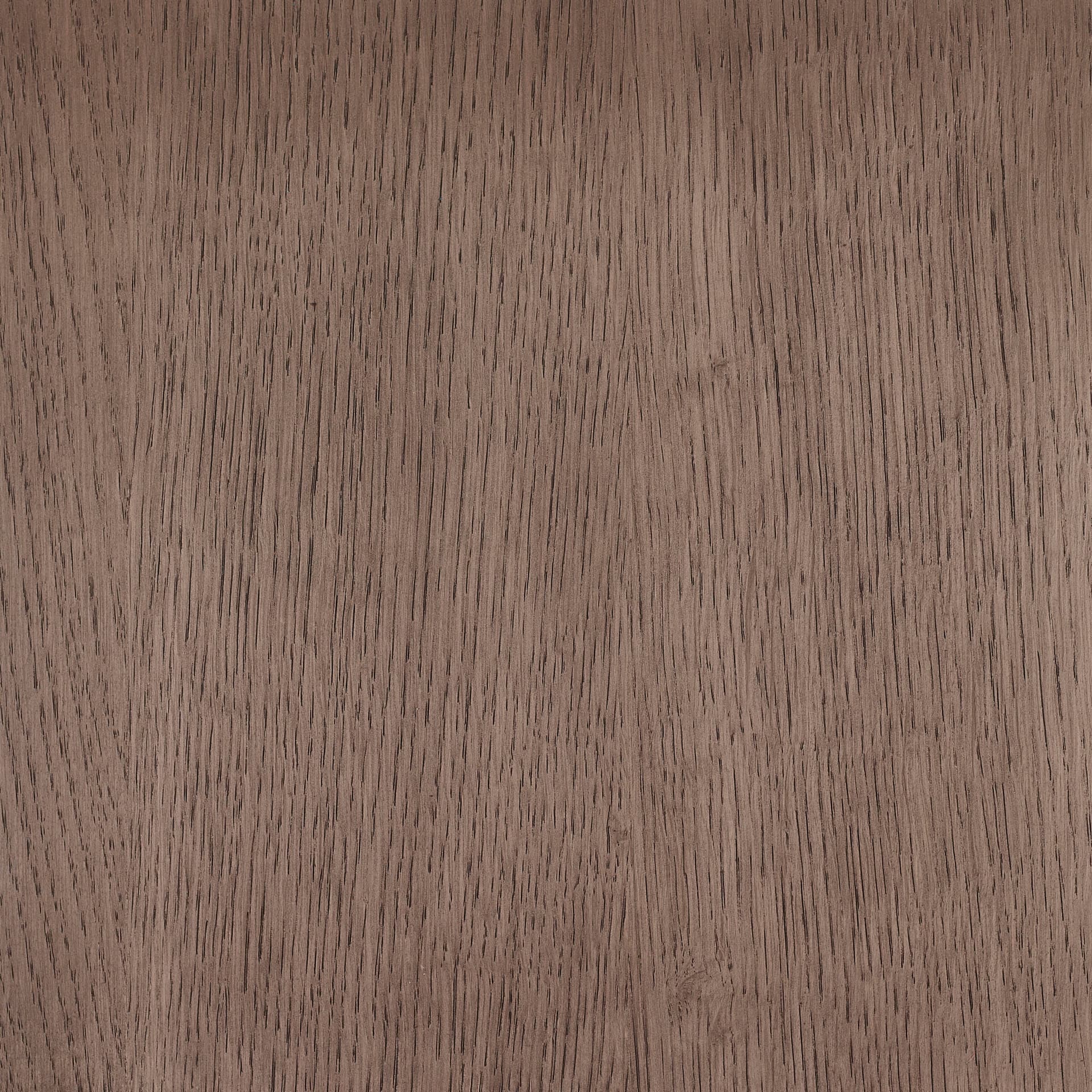 Arctic White colour swatch on wood