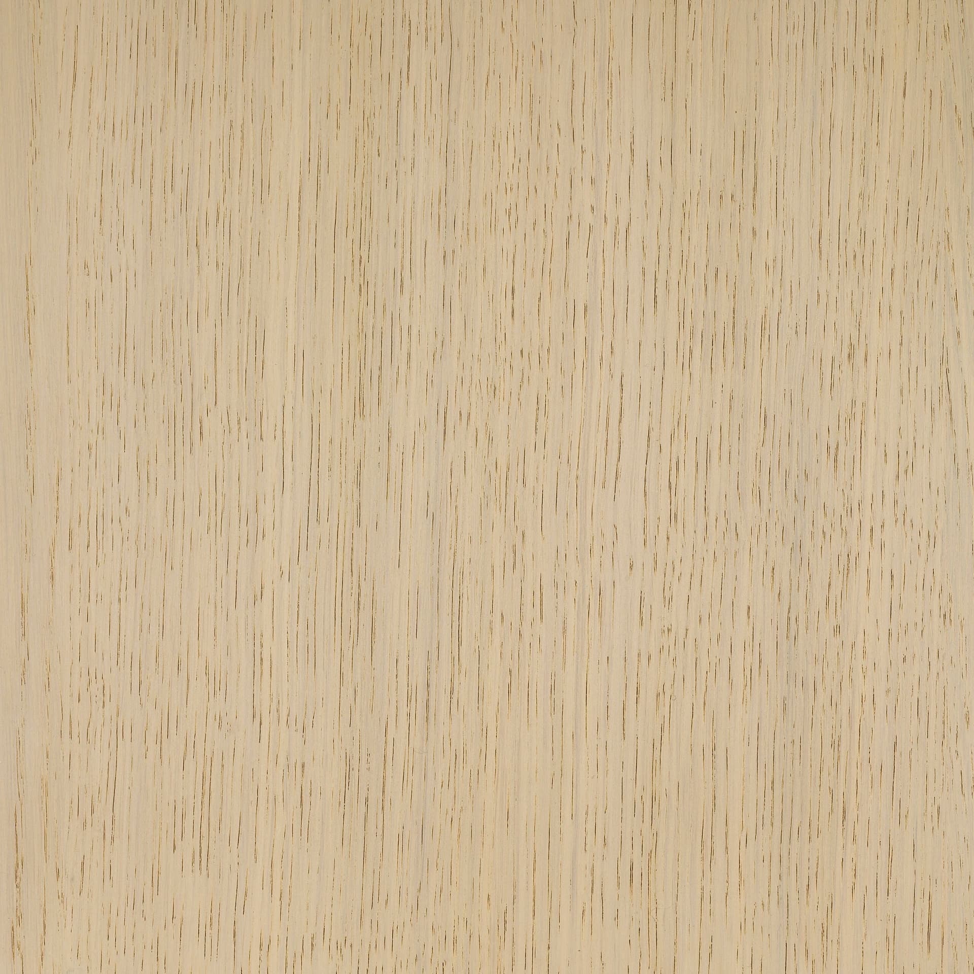 Arctic White colour swatch on wood