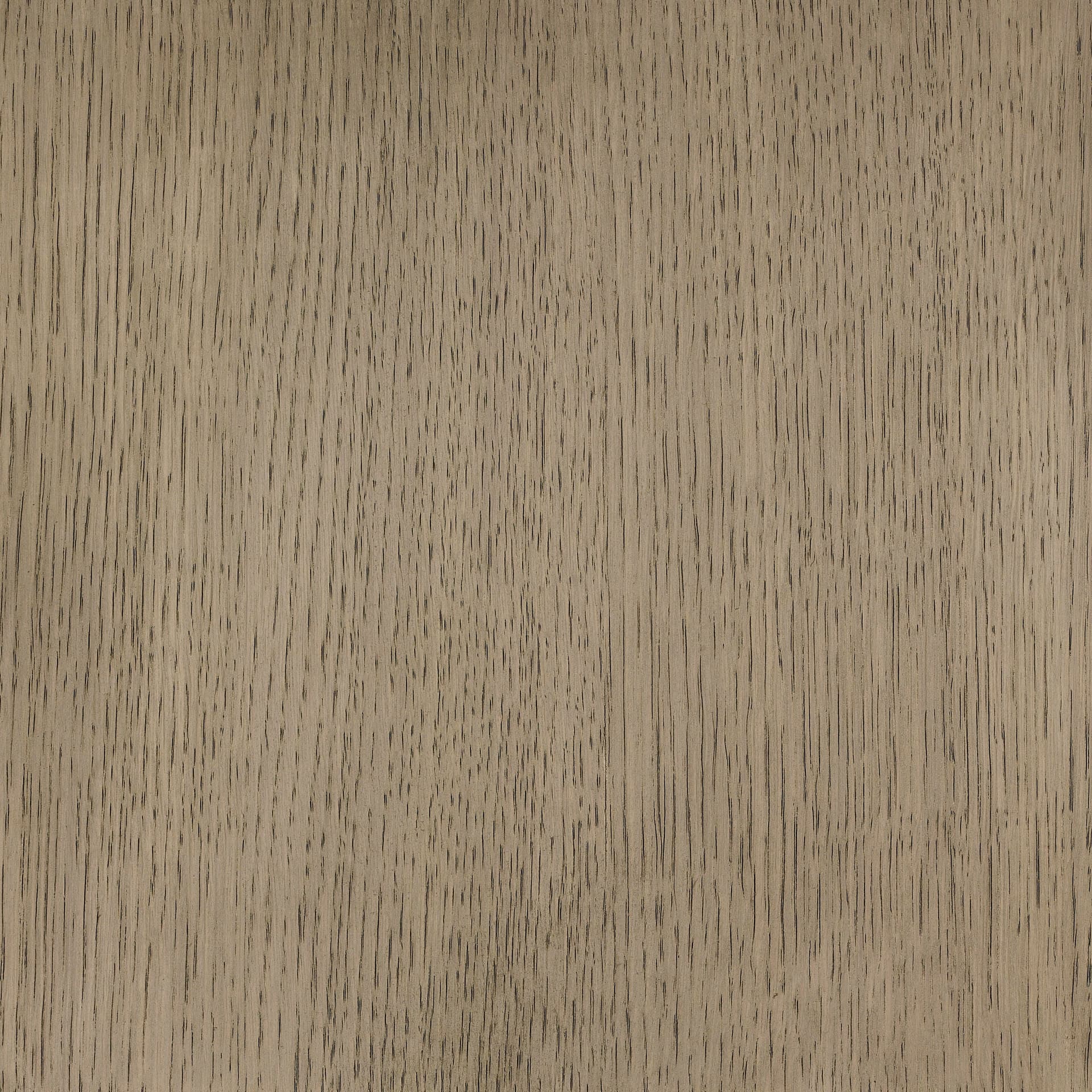 Arctic White colour swatch on wood