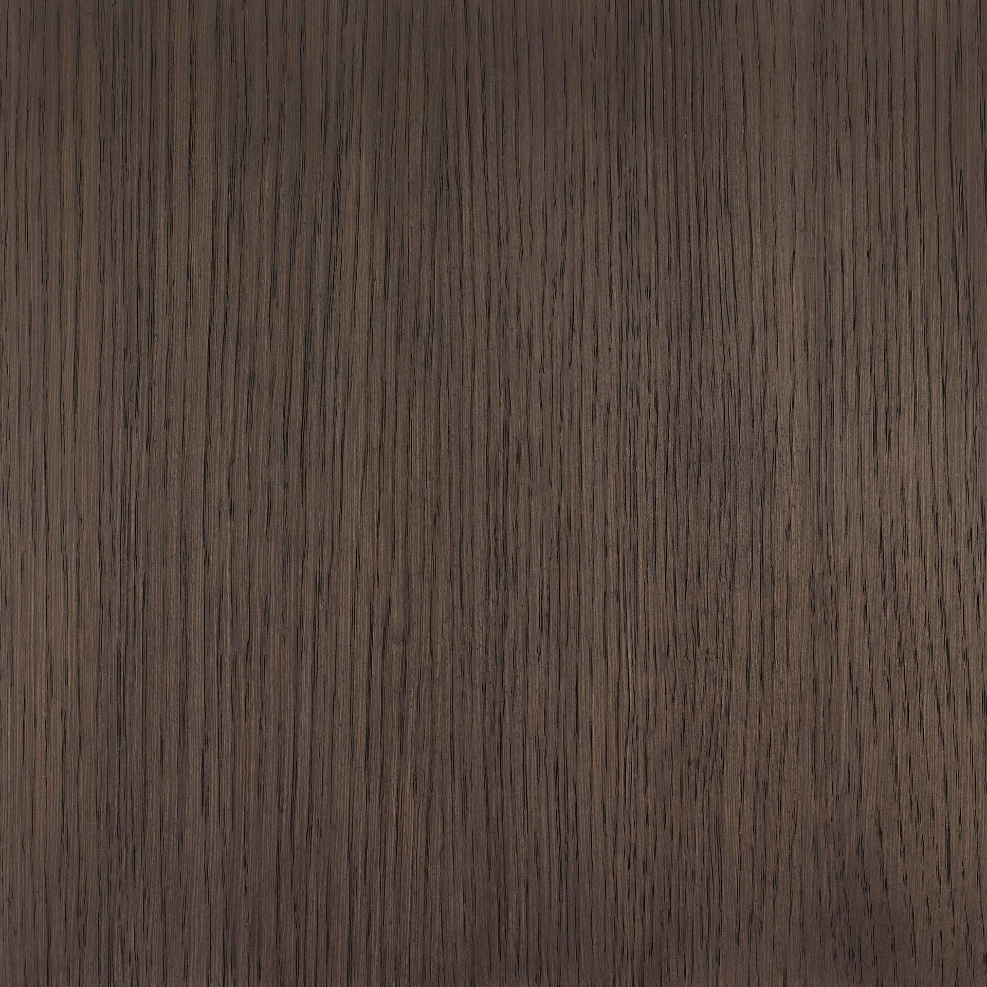 Neutral White colour swatch on wood