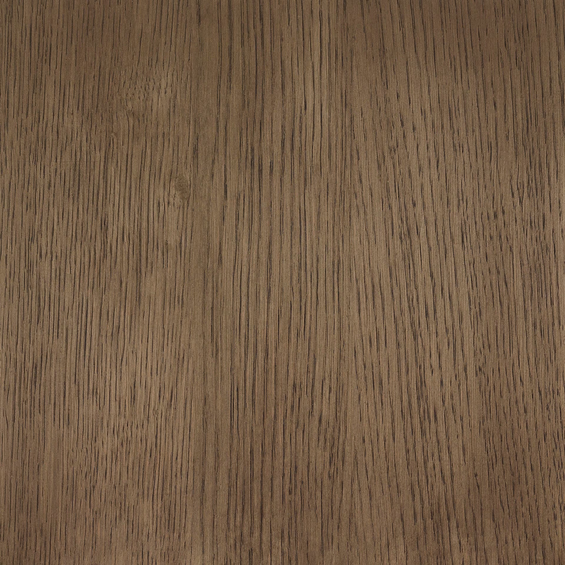 Arctic White colour swatch on wood